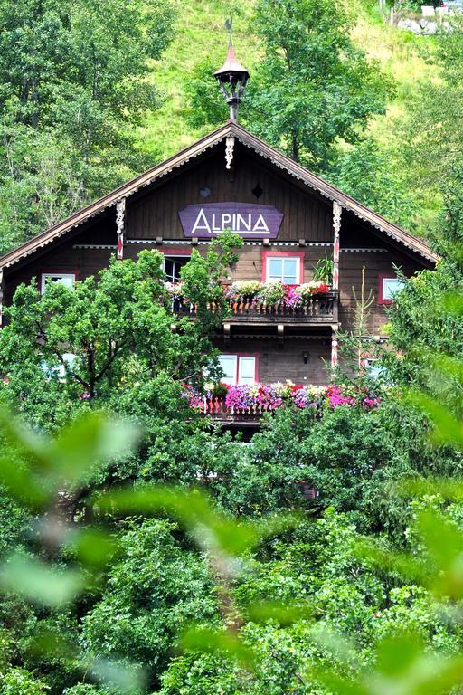 Гостевой дом Landhaus Alpina Миттерзилль Экстерьер фото